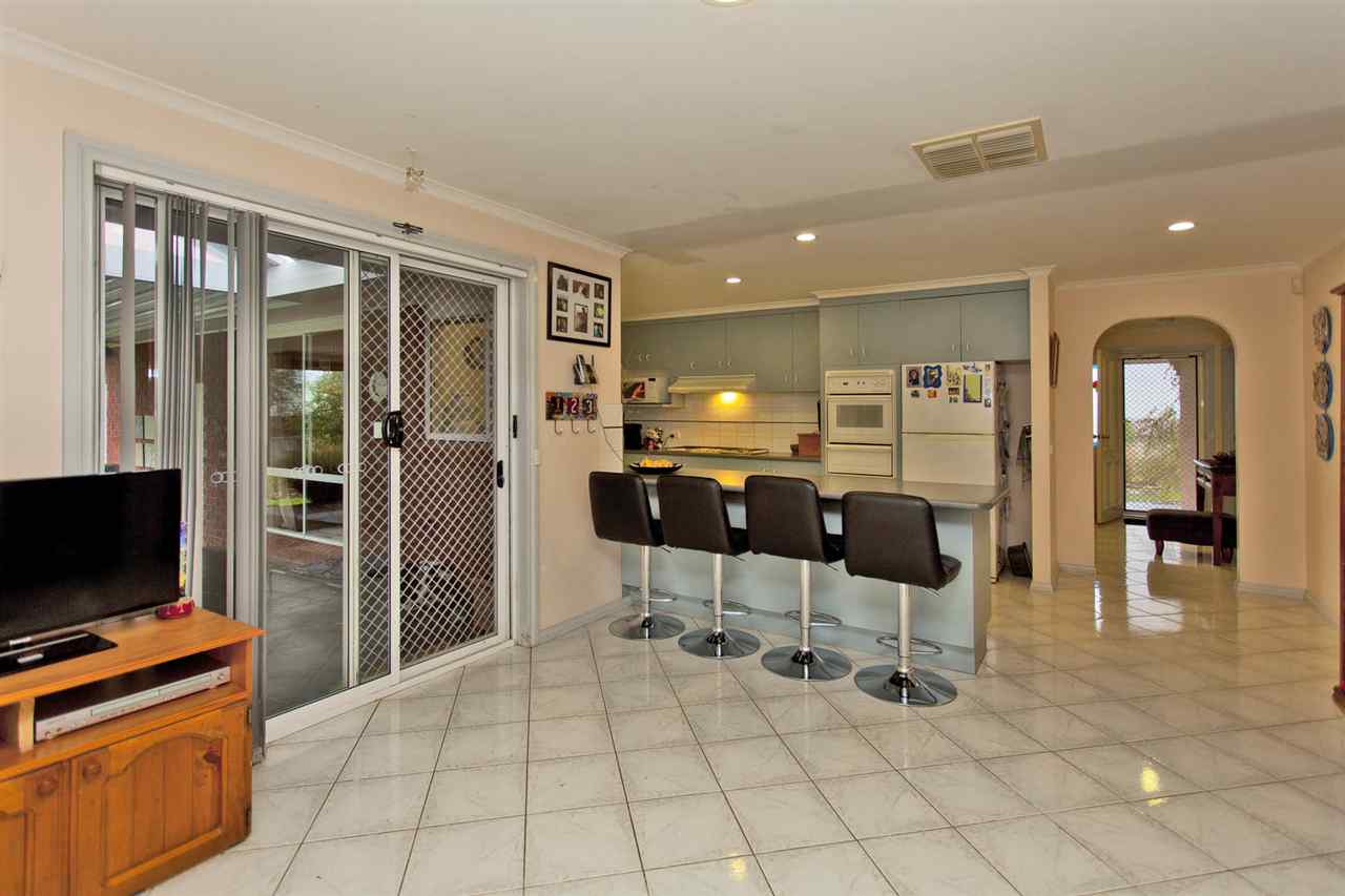 resized-2349823-edit11 kingfisher 31.JPG